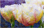 Romance Digital Art by Macro Abundance Art Romance Digital Art by Macro Abundance Art