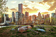 Roosevelt Island Sunset Photograph by Az Jackson