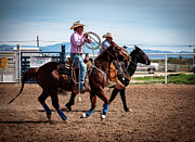 Roping Cowboys Photograph by Kelly Markus