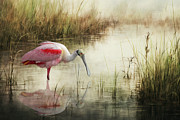 Roseate Spoonbill foggy morningmarsh Digital Art by Jerry Dalrymple