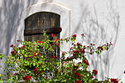 Roses Photograph by Jake Walker