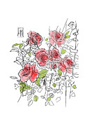 Roses Drawing by Luisa Millicent