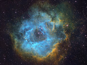 Rosette Nabula - Hubble Palette Photograph by Ralf Rohner Rosette Nabula - Hubble Palette Photograph by Ralf Rohner