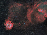 Rosette vs Cone Photograph by Ralf Rohner