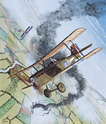 Royal Aircraft Factory S.E.5a Painting by Steve Ferguson Royal Aircraft Factory S.E.5a Painting by Steve Ferguson