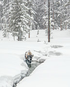 Rugged Splendor Photograph by Chris Allmendinger Rugged Splendor Photograph by Chris Allmendinger