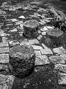 Ruins in Chichenitza Mexico Photograph by Frank Mari