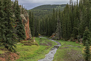 Runoff Through the Rocks Photograph by Steve Templeton Runoff Through the Rocks Photograph by Steve Templeton
