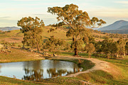 Rural Landscape 01 Photograph by Werner Padarin Rural Landscape 01 Photograph by Werner Padarin