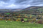 Rural Yorkshire Photograph by Call Me Abbie - Abbie Shores Rural Yorkshire Photograph by Call Me Abbie - Abbie Shores