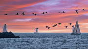 Rush Hour Traffic 2 Photograph by Lindsay Thomson