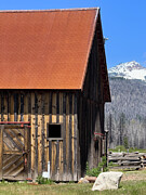 Rustic Barn  Photograph by Leslie Brashear