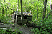 Rustic Camp Cabin  Photograph by Bentley Davis
