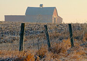 Rustic Farm, Early Morning Photograph by Victoria Plut
