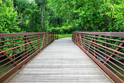 Rustic Retreat - Crossing Into Nature's Verdant Realm Photograph by Brigitte Blanchette Thompson Rustic Retreat - Crossing Into Nature's Verdant Realm Photograph by Brigitte Blanchette Thompson
