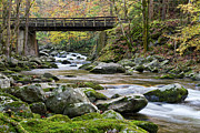 Rustic Wooden Bridge Photograph by Phil Perkins Rustic Wooden Bridge Photograph by Phil Perkins