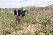 Sadie and Flowers Photograph by Doug Miller Sadie and Flowers Photograph by Doug Miller