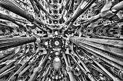 Sagrada Familia, Barcelona Photograph by Eugene Nikiforov
