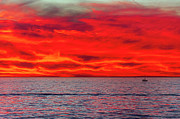 Sailboat in Oceanside at sunset. Photograph by Rich Cruse Sailboat in Oceanside at sunset. Photograph by Rich Cruse