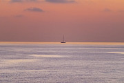 Sailboat Silhouette at Dusk Photograph by William Dickman Sailboat Silhouette at Dusk Photograph by William Dickman