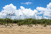 Sailfish Beach Sand Dunes Photograph by Blair Damson