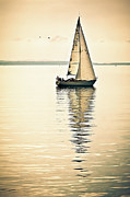 Sailing on Lake Constance, Germany Photograph by Tatiana Travelways