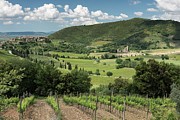 Saint Antimo, Tuscany, Italy Photograph by Sarah Howard