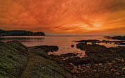 Salt Creek Sunset Photograph by Thomas Hall