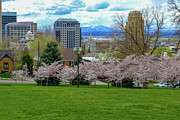 Salt Lake City - Spring is in the air Photograph by Brigitte Blanchette Thompson Salt Lake City - Spring is in the air Photograph by Brigitte Blanchette Thompson