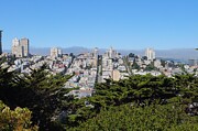 San Francisco Skyline Amidst Evergreens Photograph by Travel Essayist San Francisco Skyline Amidst Evergreens Photograph by Travel Essayist