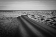 Sand Bar Shadows Black And White Photograph by Dan Sproul