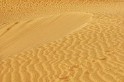 Sand dunes texture Photograph by Severija Kirilovaite