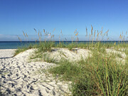Sandy Dunes Photograph by Leslie Brashear