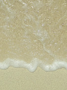 Sandy Island Carriacou Vertical Photograph by Dan Podsobinski