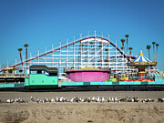 Santa Cruz Boardwalk Amusement Park and Seagulls Photograph by Mary Lee Dereske