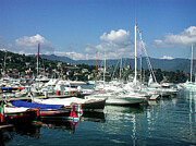 Santa Marguerita Harbor Photograph by Leslie Brashear