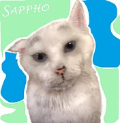 Sappho the super cat Mixed Media by Pamela Calhoun
