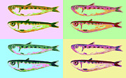 Sardines-Fish Pop-Art Mixed Media by Shelli Fitzpatrick Sardines-Fish Pop-Art Mixed Media by Shelli Fitzpatrick