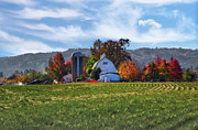 Sauvie Farm Photograph by Loyd Towe Photography