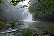 Savage Falls 21 Photograph by Phil Perkins