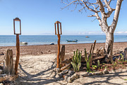 Scene from Timor-Leste 30 Photograph by Werner Padarin