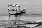Scene from Timor-Leste 34bw Photograph by Werner Padarin