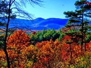 Scenic Autumn Gaze Photograph by Allen Nice-Webb
