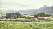 Scenic Morning in the Grassland Photograph by Marco Sales Photography