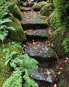 Scottish Garden in Portland Photograph by Charlene Mitchell Scottish Garden in Portland Photograph by Charlene Mitchell