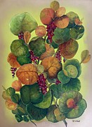 Sea Grapes Painting by Barbara Landry