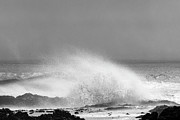 Sea Spray Photograph by Mary Hone