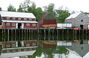 Seal Cove reflections Photograph by Dominique Lecomte Seal Cove reflections Photograph by Dominique Lecomte