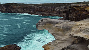 Seal Rock Photograph by Andre Petrov Seal Rock Photograph by Andre Petrov