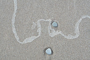 Seashore Memories Photograph by Kathi Mirto
